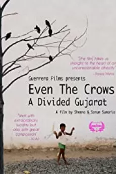 Even the Crows: A Divided Gujarat