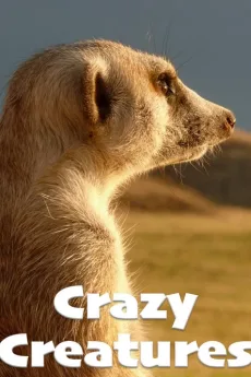 Crazy Creatures