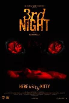 3rd Night