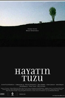 Hayatin Tuzu