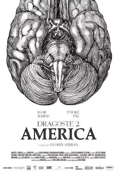 Love 2. America