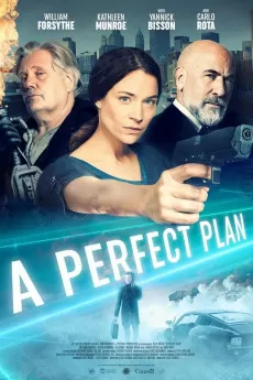 A Perfect Plan