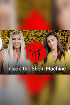 Inside the Shein Machine