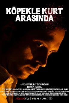 Köpekle Kurt Arasinda
