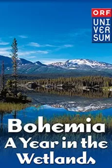 Bohemia: A Year in the Wetlands