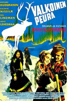 The White Reindeer