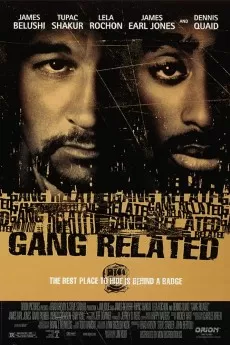 Gang Related