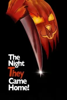 Mr. Bungle: The Night They Came Home