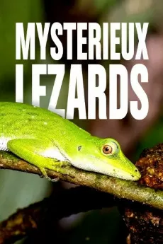 Laws of the Lizard