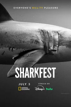 Sharks: Reef Rivals