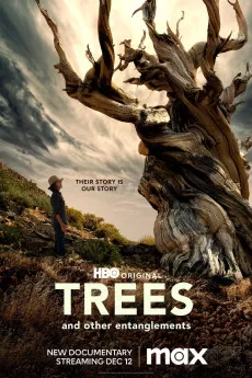 Trees, and Other Entanglements
