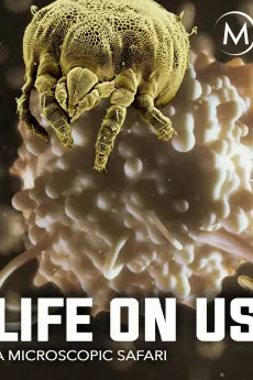 Life on Us: A Microscopic Safari