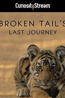 Broken Tail