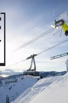 Warren Miller's Line of Descent