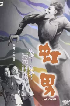 Nijiotoko
