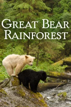 Great Bear Rainforest