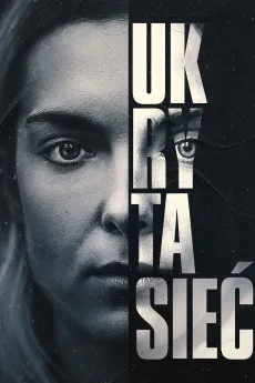 Ukryta siec