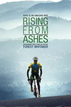 Rising from Ashes