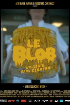 Le Blob, un génie sans cerveau