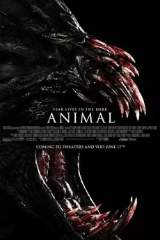 Animal