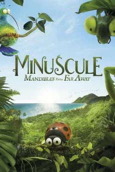 A Minuscule Adventure