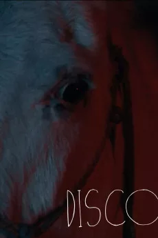 Disco