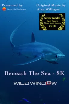 Wild Window: Bejeweled Fishes