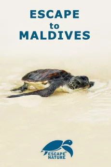 Escape to Maldives