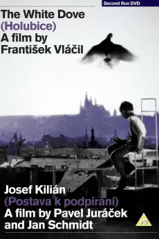 Joseph Kilian