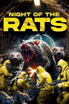 Night of the Rats