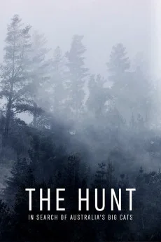 The Hunt: In Search of Australia's Big Cats