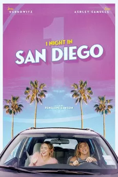 1 Night in San Diego