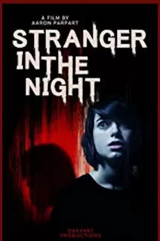 Stranger in the Night
