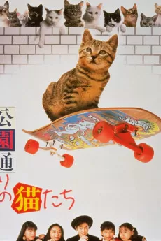Kôendôri no nekotachi