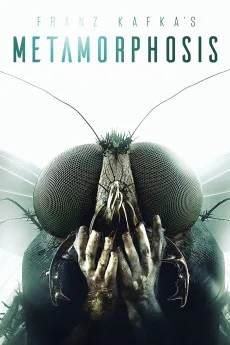 Metamorphosis