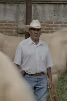 Caballerango