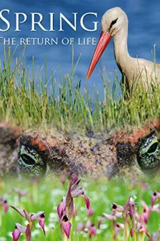 Spring: The Return of Life
