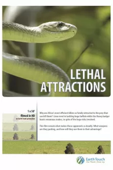 Lethal Attractions