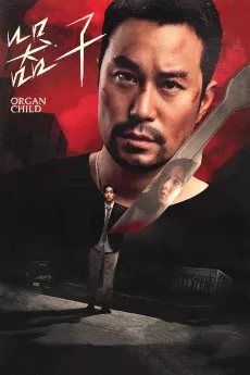 Qi zi