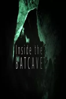 Inside the Bat Cave