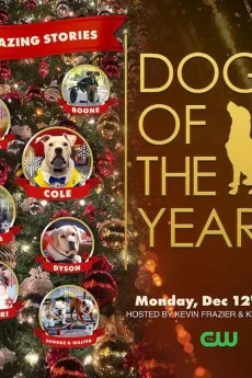 Dogs of the Year 2022