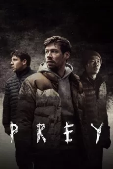 Prey